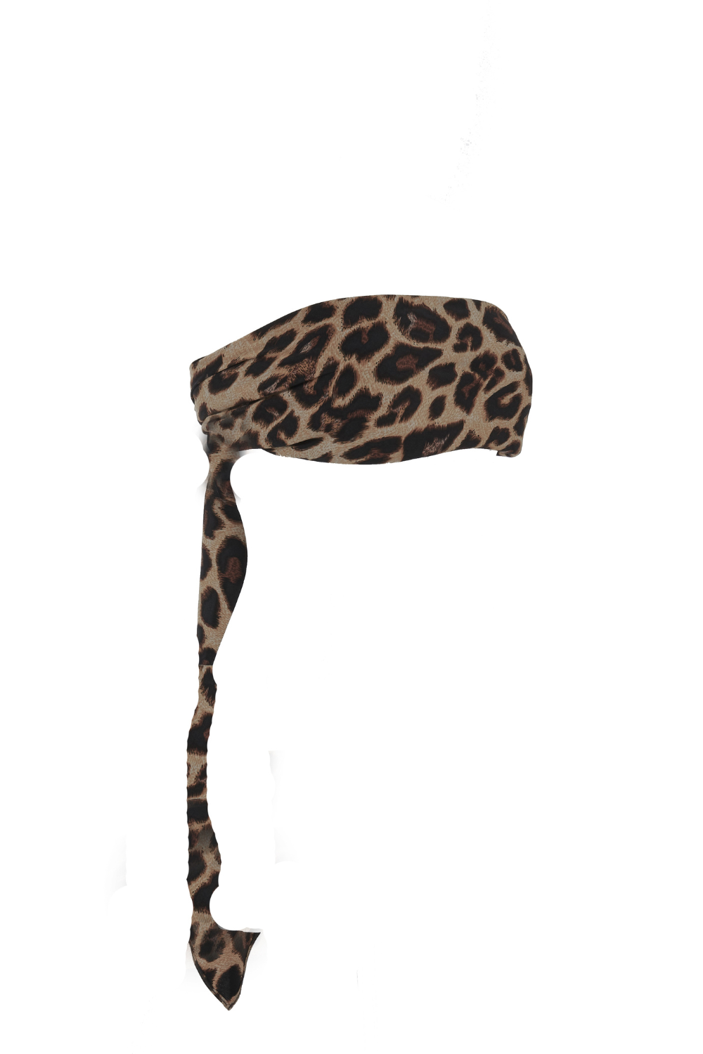 Leopard π